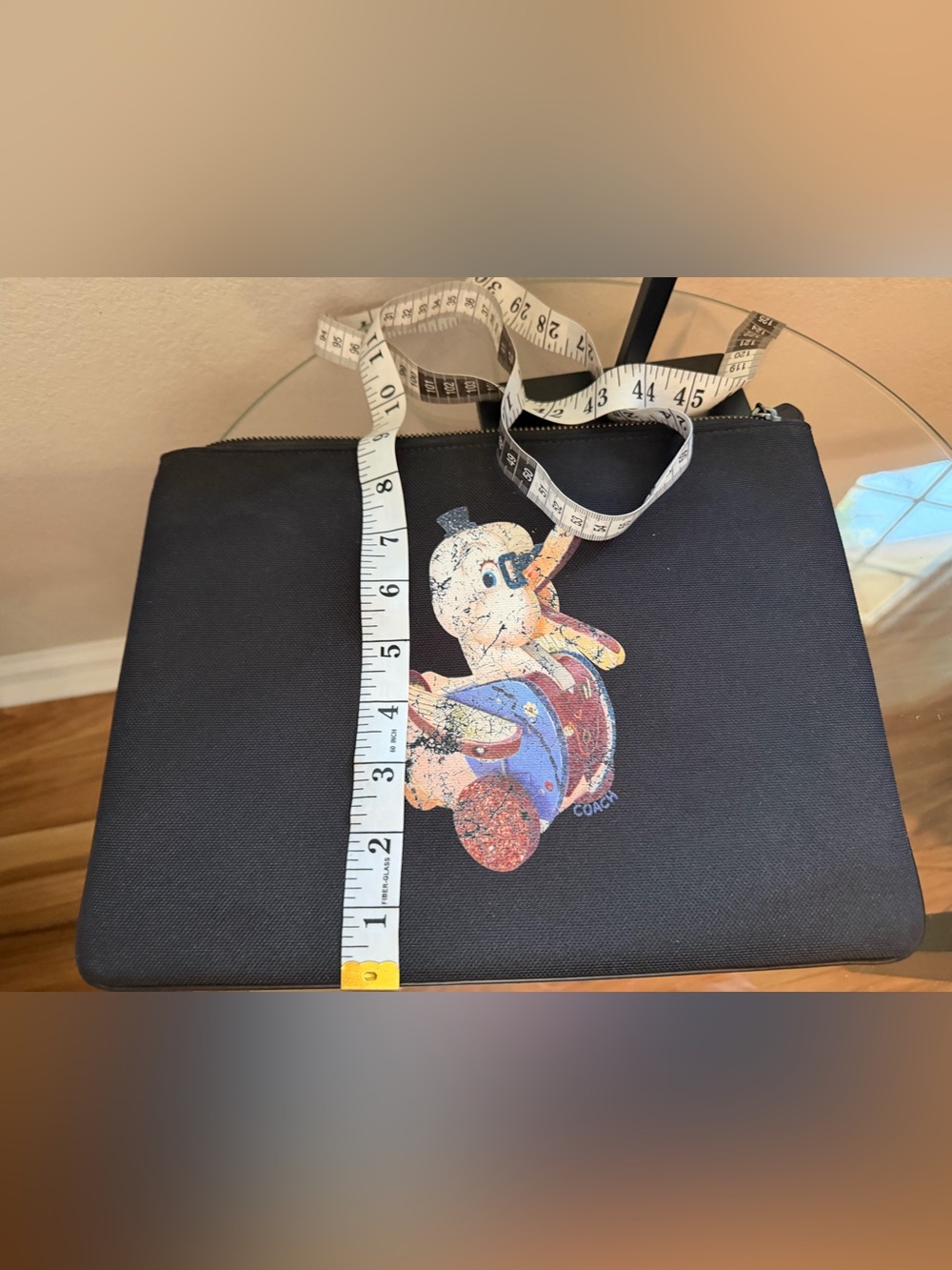 Coach X Fisher Price Pouch